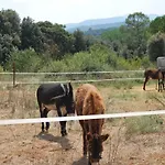 Cal Tort Hébergement de vacances *