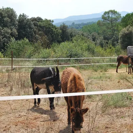Cal Tort Hébergement de vacances *
